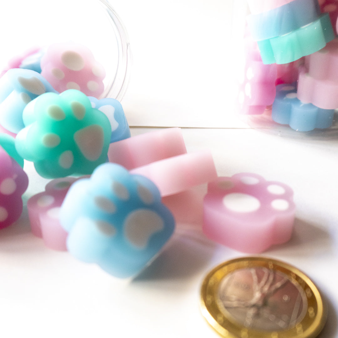 Gommine da cancellare Zampette - 16 pezzi